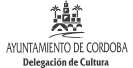 delegacion-de-cultura-1